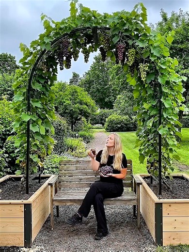 DIY Grape Arbor Bench: Transform Your Backyard in One day! 🍇 Watch this amazing backyard transformation! 🌿 In this video, we take a simple gravel corner #landscaping #gardenmakeover #gardendesign #curbappeal #unitedkingdom