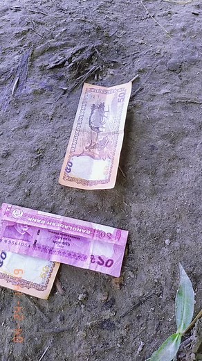 Exploring Indian Currency Notes: Close-Up Details
