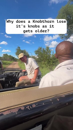 Bushwise Field Guides Training in Lowveld