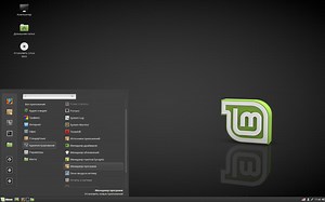 Создание загрузочной флешки Linux Mint - Losst