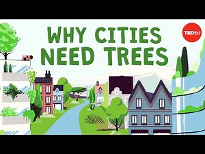 The Importance of Trees In Our Lives - Conversation Practice
