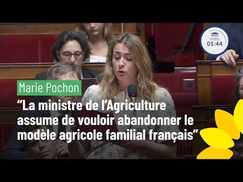 Marie Pochon: "The Minister of Agriculture is determined to abandon the family farming model."