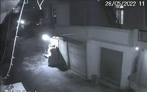 Dog mauls a leopard that ambushed it while it slept.