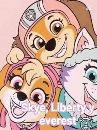 skye x chase Liberty x rocky everest x marshall
