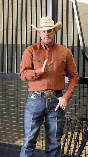 Understanding Yokes in Horse Stalls: Clinton's Approach