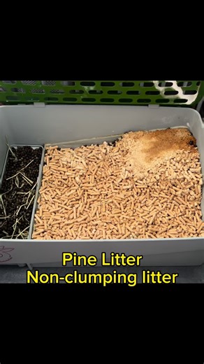 Transforming Pet Care with Pine Litter & Diatomaceous Earth