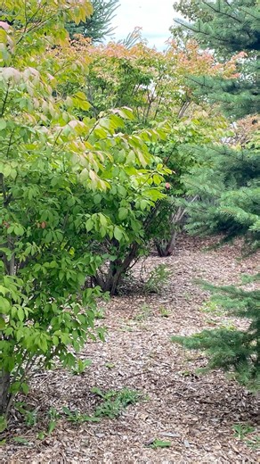 Setting Up My Tent at First STEALTH CAMP #stealthcamping #stealthcampingalliance #urbanexploration