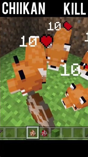 chicken kill fox Minecraft