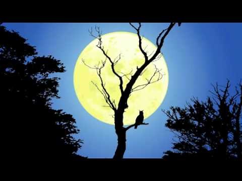 さかいゆう 夢見月