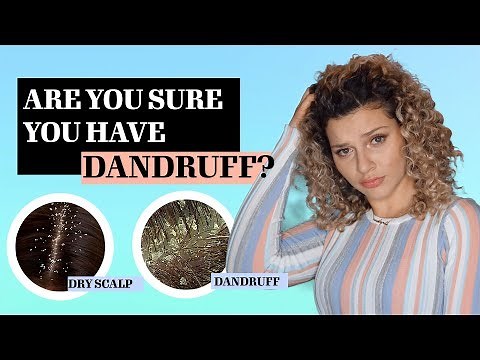THE DIFFERENCE BETWEEN DANDRUFF VS DRY SCALP + TREATMENTS