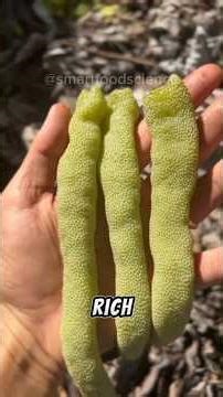 5 Rare Fruits That Look Unreal & Are Disappearing #strangefruit #globalfruits #fruits #shorts