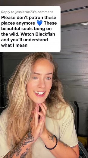 The Truth About Orcas: Education, Captivity, and Conservation