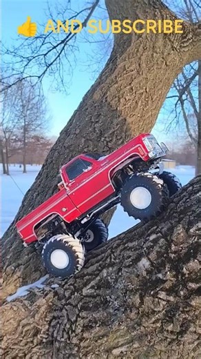 TREE CRAWL RC FUN💥💥💥💥💥🥶❄️💪🥶👍