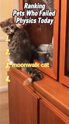Ranking The Worst Physics Fails: Animal Edition 🐾😂 #funny #shorts