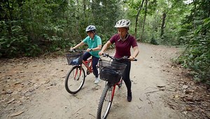 [A Guide to Pulau Ubin] Before hopping on a bike to explore the rustic beauty of our beloved Pulau Ubin, here are some tips and tricks to ensure you have a great and safe day out with nature! While you’re at it, be sure to follow the Ubin Way to help keep the island a familiar and rustic destination for everyone. :) For more details on Pulau Ubin, visit http://bit.ly/1z8MzCz | NParks