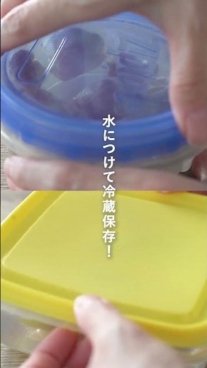 【大葉・みょうが・しょうが】薬味を長持ちさせる保存テク💡