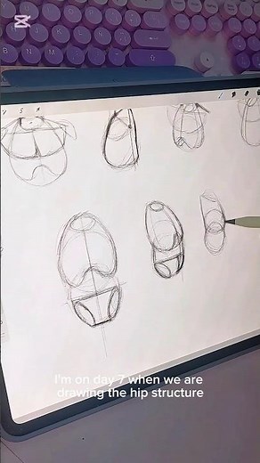 Day 7 of Learning anatomy in 21 days with 21Draw (not sponsored), my own little experiment #anatomy