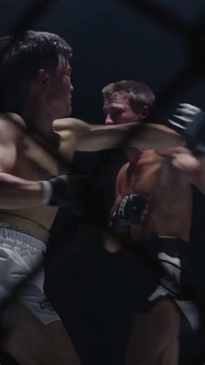 What Happens Inside the Diamond | IBC