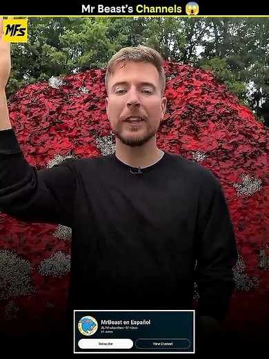 Mr Beast All Channels In YouTube 😱
