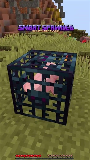 Did you know about these plugins #minecraft #minecraftplugins #zaphosting #shorts