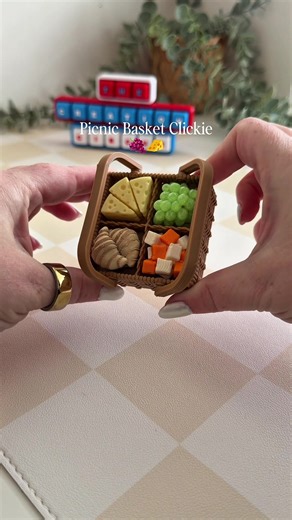 Fun Picnic Fidget Toy Design