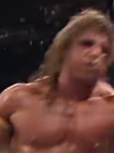 #whatdoyoulike #divas or #warriors #wwefan @🌻Jessica🌻 @UltimateWarriorFan @divasunlimited @divas 💗 @Hot Diva Moments