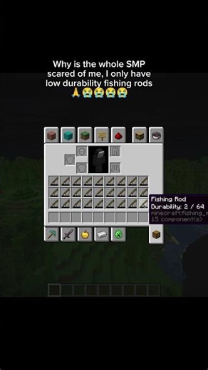 "Just fishing rods" 🙏😭 #minecraft #memes #shorts #foryou
