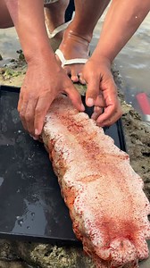 Amazing Red Sea cucumber😍 #holiday | Ordan Almodiel Ollos