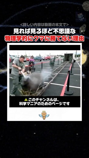 物理学的に、クマのスピードに人間が反応するのが難しい理由