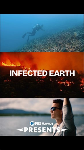Watch "Infected Earth" for a limited time during #EarthMonth: https://www.pbshawaii.org/infected-earth/ Hawaiʻi-based emergency room physician Darragh O’Carroll travels to Australia to investigate the dramatic effects of climate change on plant, animal and human life in the land down under. | PBS Hawai‘i