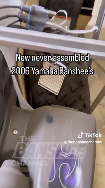 TheBansheeChannel on TikTok