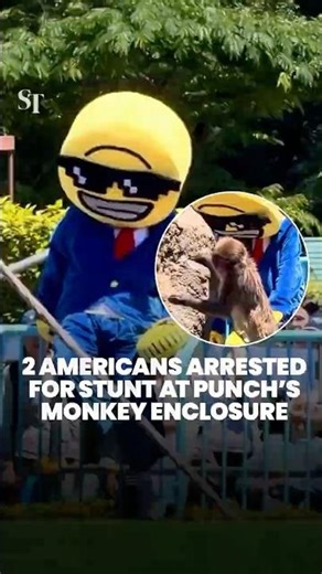 Intruder and accomplice arrested for stunt at Punch the monkey’s enclosure