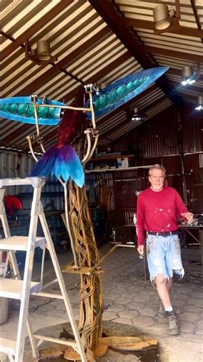 Hummingbird Flys To His New Home Tomorrow