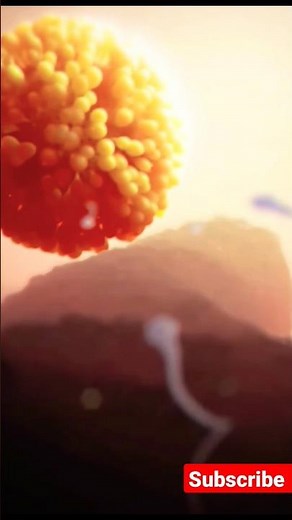 fertilization | Sperm journey to Ovum | Microbiology #micro #sperm #unseen