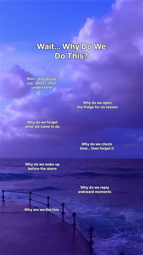 Wait…Why Do We Do This?