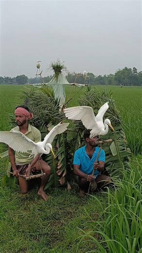 Watch Before It Gets Deleted! Bird Hunting Scene