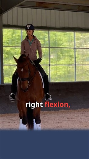 Bending vs. flexion — do you really know the difference? 🤔 We often hear these 2 words, but what do they really mean? 🤔 JJ makes it super simple to understand and remember the difference! #BendvsFlexion #ThisIsMyDressage | Team Tate Academy