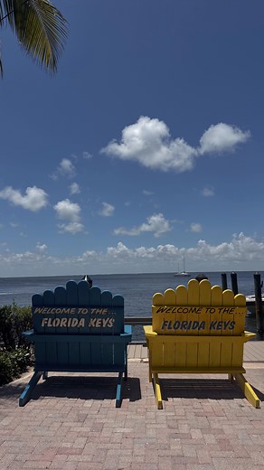 ava kolker :) on Instagram: "cook dinner with us 🧑‍🍳✨"