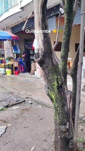 Videos de I am Isa 🍄 (@isabelbgar_) con “sonido original - eldocetv”