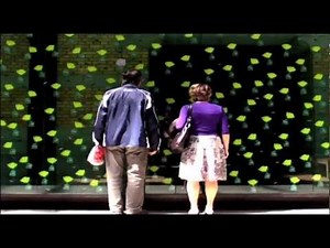 Dancing Solar Flowers Compilation Video