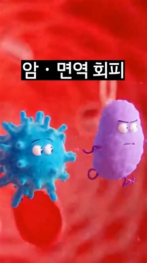 조절 T세포와 암