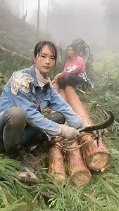 283K views · 1K reactions | Girls working in the forest carrying wood | Giant Machine | Facebook