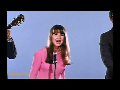 A World Of Our Own - The Seekers (1965) Live Broadcast (The World Of The Seekers TV Special 1968) HD
