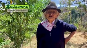 Doña Pacifica Mendieta Planta & Canta a los 94 años y nos enseña el himno al árbol. 🌳🎶🌳🎶🌳🎶 #plantaycanta Escuchá nuestro disco: https://open.spotify.com/album/6ynmhu7f0Wgl55SizgE5kT?si=3yrwHcSfRRWKrN3C8Mqsdw&utm_source=copy-link | Planta & Canta