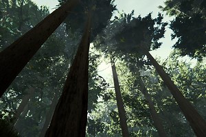 Mapa interactivo de The Forest para localizar todos los recursos, peligros y secretos del juego