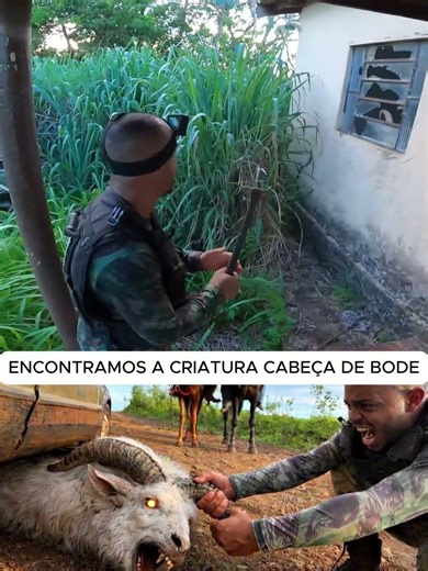 ELE CHEGOU PERTO DA CRIATURA