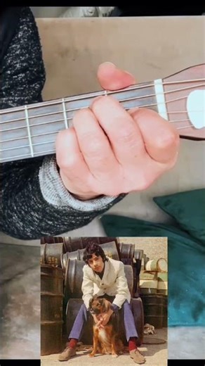 ‘I Love My Dog’ Cat Stevens - Guitar Chords (Standard - No Capo)