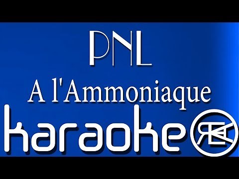 PNL - A l'Ammoniaque | Karaoké Paroles, Instru