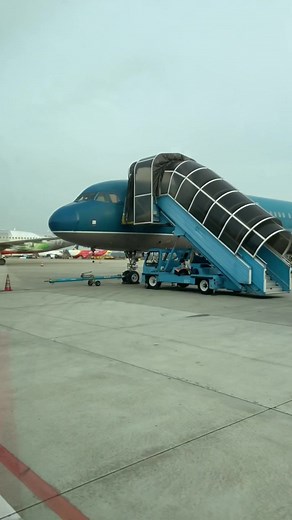 Behind the Scenes of Airport Cargo Operations