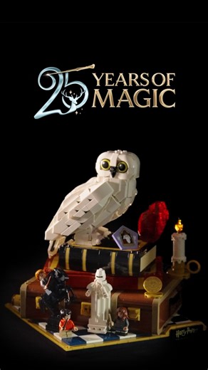 23K views · 266 reactions | Likez la vidéo si vous attendez toujours votre lettre de Poudlard depuis 25 ans ! 彩 | LEGO | Facebook